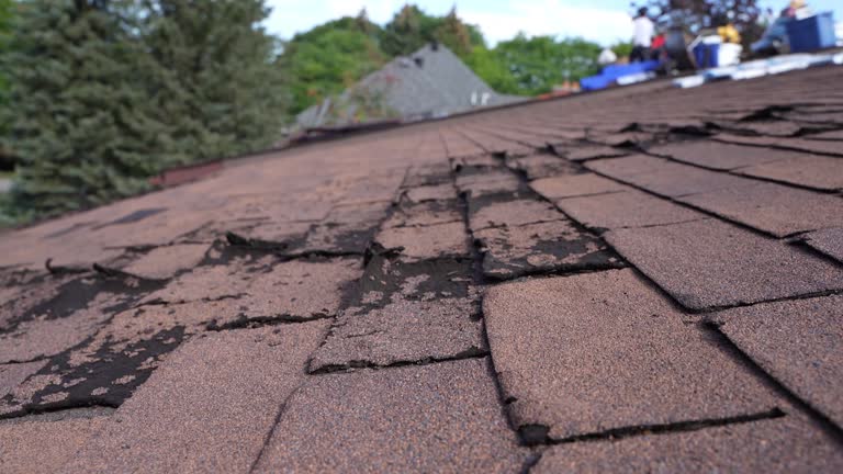  Pleasanton, TX Roofing Service Pros