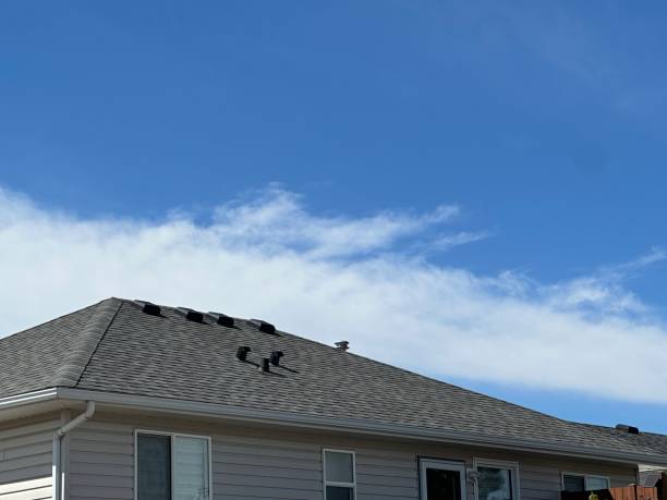 Fast & Reliable Emergency Roof Repairs in Pleasanton, TX